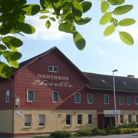 Gasthaus Forelle Thale Esterno foto