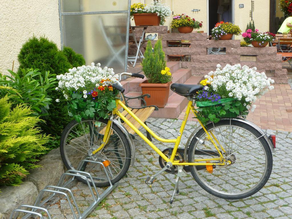 Gasthaus Forelle Thale Esterno foto