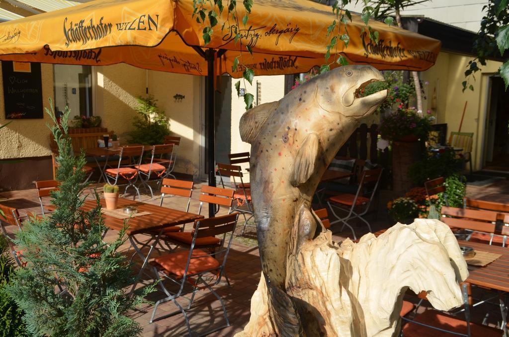 Gasthaus Forelle Thale Esterno foto