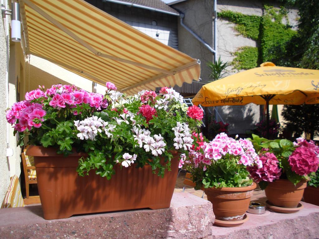 Gasthaus Forelle Thale Esterno foto
