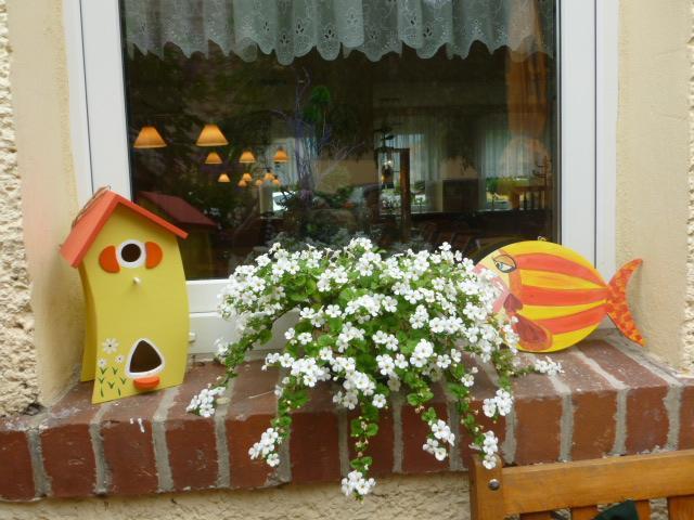 Gasthaus Forelle Thale Esterno foto