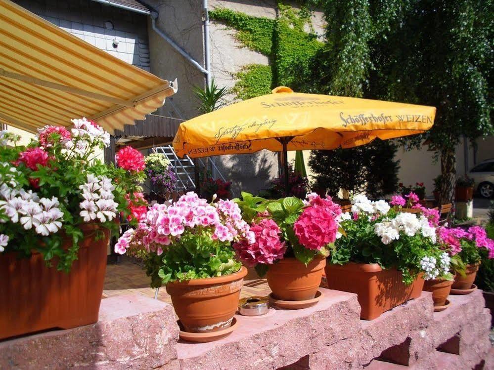 Gasthaus Forelle Thale Esterno foto